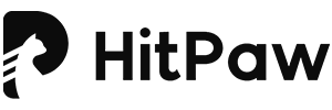 HitPaw Video Converter Logo