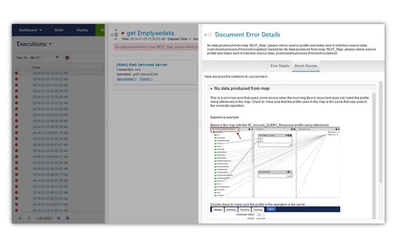 Boomi Document Error Details