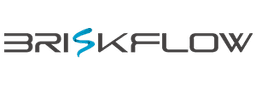 BriskFlow Logo
