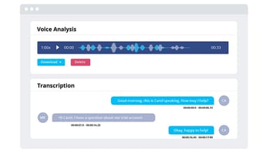 CallTrackingMetrics Voice Analysis