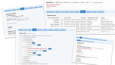 EMR Bear Core Features