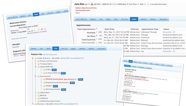 EMR Bear Core Features