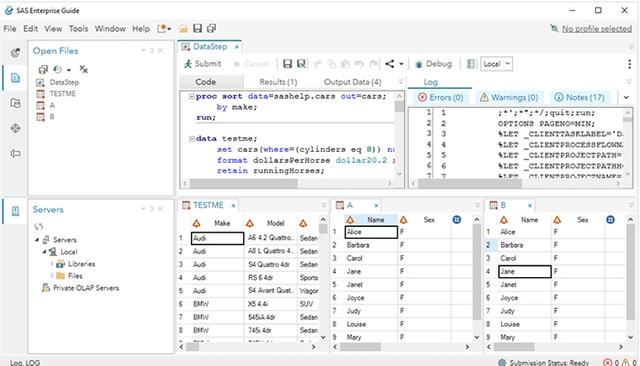 SAS Enterprise Guide Data Step