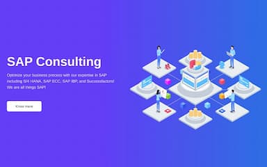 Denken Solutions SAP Consulting