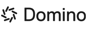 Domino Data Lab