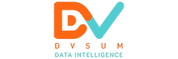 DvSum Logo