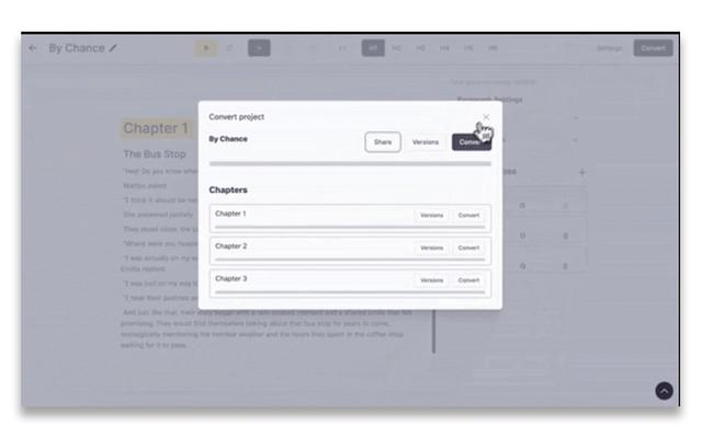 ElevenLabs Convert Project