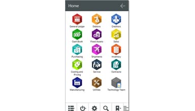 Embrace ERP Home View