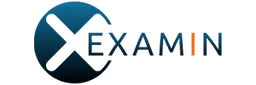 Examin Logo