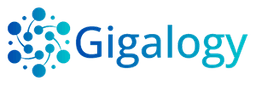 Gigalogy Personalizer Logo