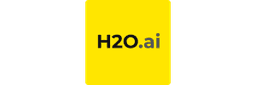 H2O Logo