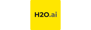 H2O