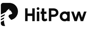 HitPaw Video Converter