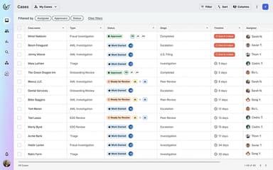 Hummingbird-Cases-Dashboard