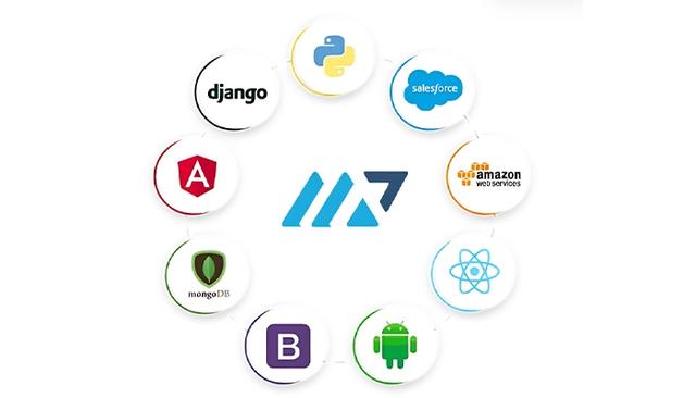 MicroPyramid Partners