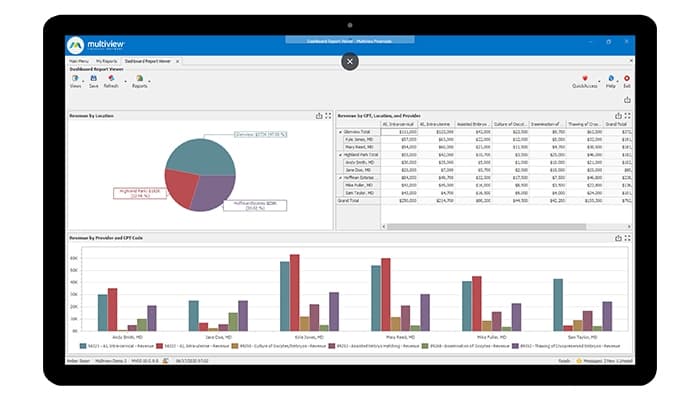 Multiview ERP Report Viewer