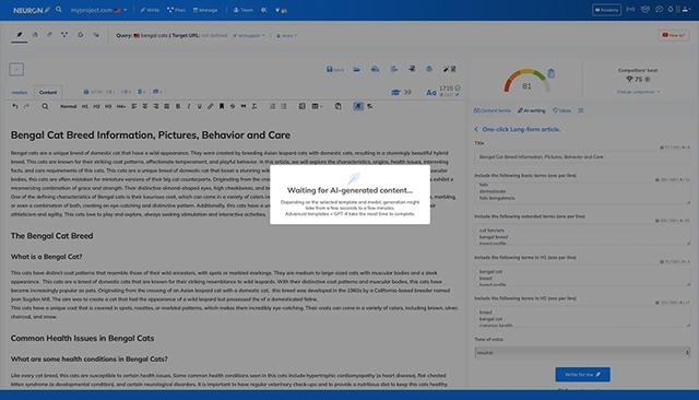 NeuronWriter AI templates