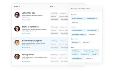 Paddle Employee Profile and Skills