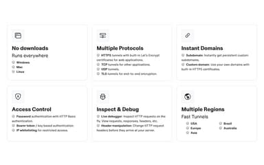 Pinggy Features