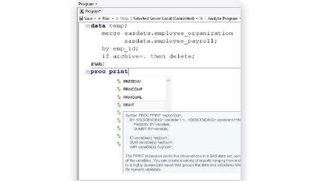 SAS Enterprise Guide Program View
