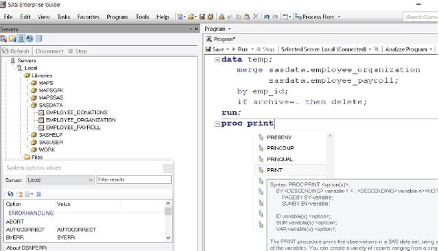 SAS Enterprise Guide Programs 