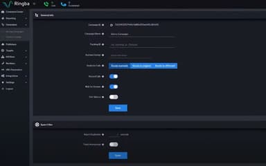Ringba Campaign Information