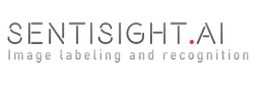 Top 10 SentiSight.ai Alternatives