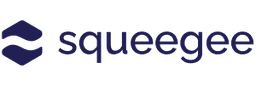 Squeegee Logo
