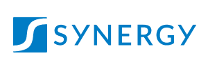 Synergy Case Management System