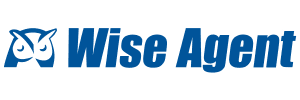 Wise Agent