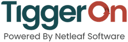 TiggerOn Logo