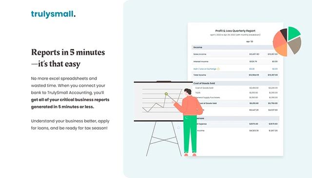 TrulySmall Accounting Report Generator