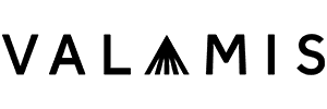 Valamis LXP