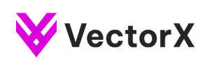 VectorX Salesforce