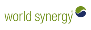 World Synergy