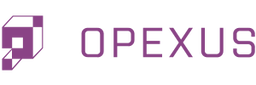eCASE Investigations Logo