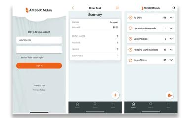 AIM Mobile View