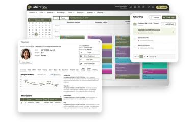 PatientNow Charting