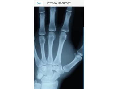 Absolute EMR Preview Document