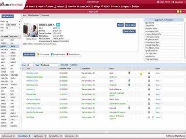Axxess Home Health Patients Chart