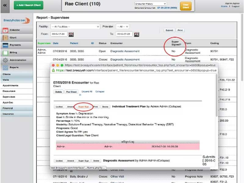 BreezyNotes EHR Supervisee Report