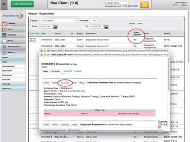 BreezyNotes EHR Supervisee Report
