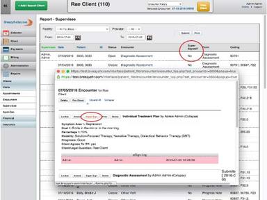 BreezyNotes EHR Supervisee Report