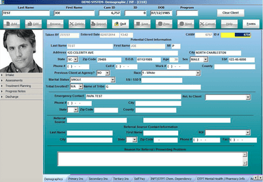 Celerity EHR Patient demographics