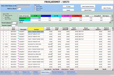 Celerity EHR Patient payment history