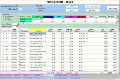 Celerity EHR Patient payment history