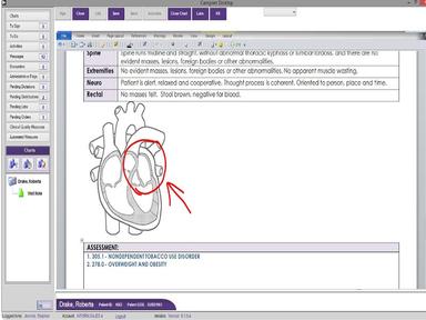CaregiverDesktop EHR Patient charting