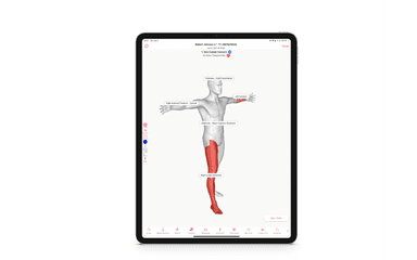 EZDERM EMR iPad view