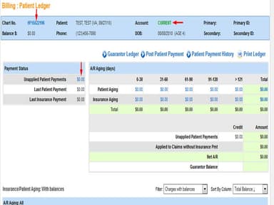 InTouch EMR Patient Ledger