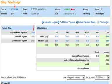 InTouch EMR Patient Ledger